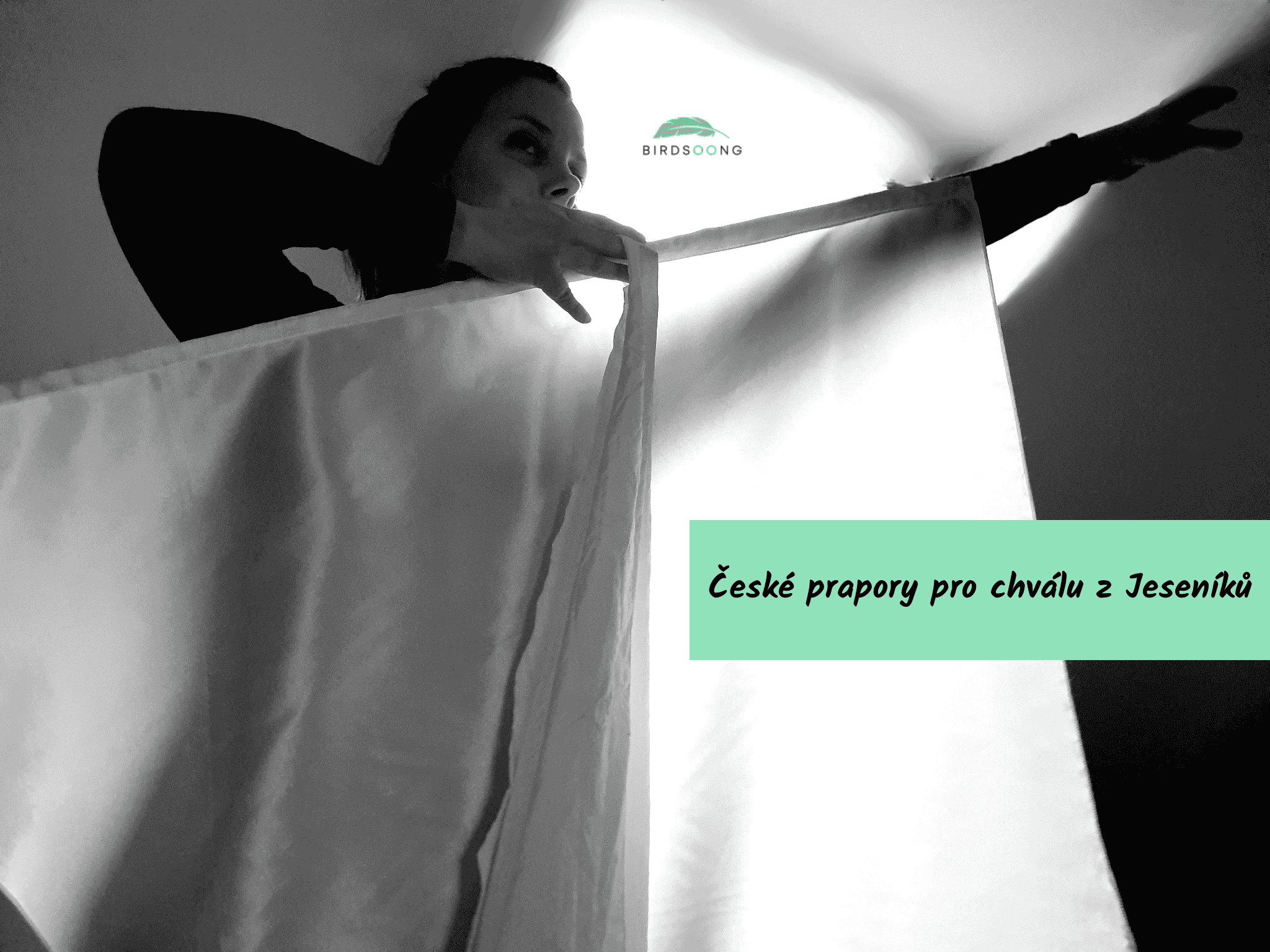 České prapory pro chválu z Jeseníků